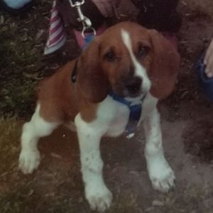 Meet your Posher, Timothy